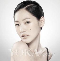 明星的桃花,揭秘明星们的浪漫邂逅