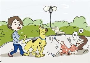 生活照要承担什么责任,生活照背后的责任与担当