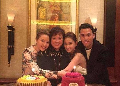 赌王的家庭背景,传奇财富与权势的传承之路