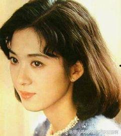 上海的明星有哪些,上海明星风采掠影